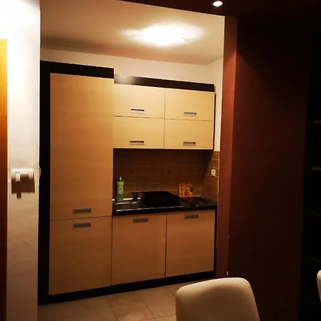 Apartment Apartman 104 Lux Zoned Kopaonik